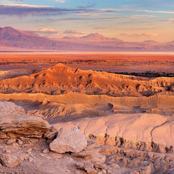 Vince Camuto Amarilo-CL Tortoise Shell Leather Shoulder Bag NWT Dust Cover - Picture 2 of 13